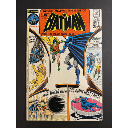 batman issue 228 front cover